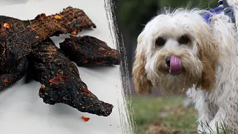 Mississippi teacher fired after allegedly feeding students dog treats mistaken for beef jerky